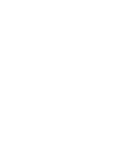 Sapiora Global